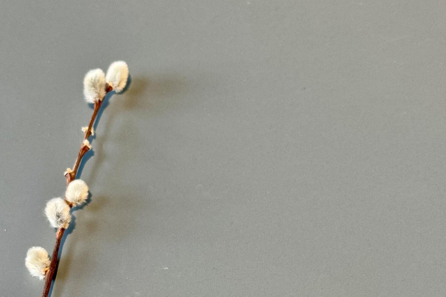 Strapazierfähiger fugenloser Boden Elastocem